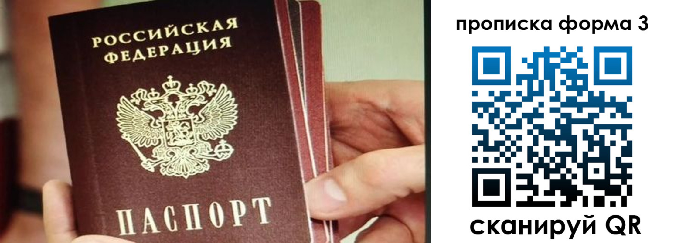 прописка законно в Луге